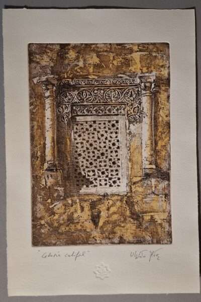 701 CELOSÍA CALIFAL (iluminado)