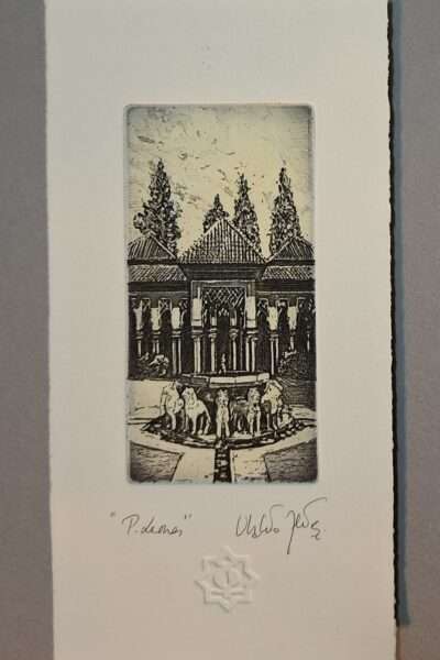 513 PATIO DE LOS LEONES (pequeño)