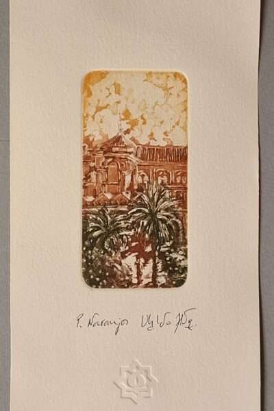 705 PATIO DE LOS NARANJOS (pequeño)